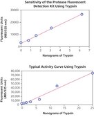 蛋白酶检测试剂盒（荧光法） high sensitivity assay