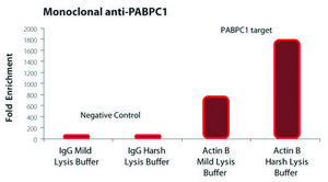 Imprint® RNA Immunoprecipitation Kit High-capacity Protein A magnetic beads for successful RNA Immunoprecipitation,suitable for use with mRNA and microRNA