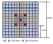 Millicell® Disposable Hemocytometer Neubauer Improved ruling pattern, 2 chambers/slide, 10 µL loading volume, individually wrapped