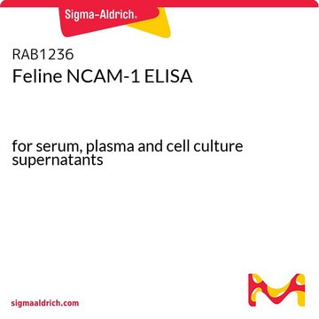 猫NCAM-1 ELISA for serum, plasma and cell culture supernatants