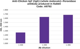 Anti-Chicken IgY (IgG) (whole molecule)−Peroxidase antibody produced in rabbit IgG fraction of antiserum, buffered aqueous solution
