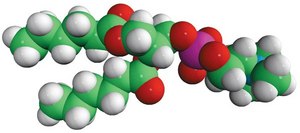 06:0 PC (DHPC) Avanti Research™ - A Croda Brand