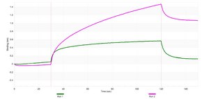 Anti-CKII-α Antibody, clone 3K8 ZooMAb® Rabbit Monoclonal recombinant, expressed in HEK 293 cells