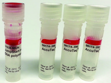 JumpStart™ REDAccuTaq® LA DNA Polymerase Long and accurate hot-start Taq with inert dye, 10X buffer included