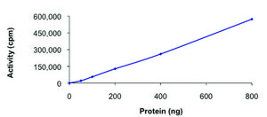 MET (958-end), active, GST tagged from rat PRECISIO® Kinase, recombinant, expressed in baculovirus infected Sf9 cells, ≥70% (SDS-PAGE), buffered aqueous glycerol solution