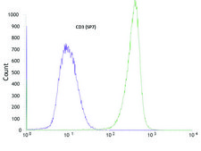 Anti-CD3 antibody, Rabbit monoclonal recombinant, expressed in proprietary host, clone SP7, tissue culture supernatant