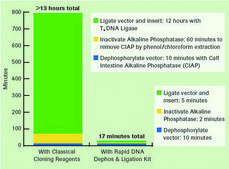 Rapid DNA Dephos &amp; Ligation Kit sufficient for 40 reactions (04898117001), sufficient for 160 reactions (04898125001), optimum reaction temp. 37 °C