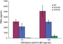 Lipopolysaccharides from Escherichia coli O111:B4 purified by ion-exchange chromatography, TLR ligand tested