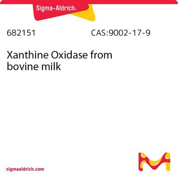 Xanthine Oxidase from bovine milk Native xanthine oxidase from bovine milk. Complex metalloprotein that catalyzes oxidative hydroxylation of a variety of aromatic heterocycles and simple aldehydes. Catalyzes the oxidation of xanthine to uric acid.