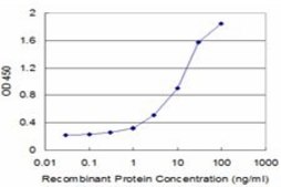 Monoclonal Anti-IL11 antibody produced in mouse clone 1F1, purified immunoglobulin, buffered aqueous solution