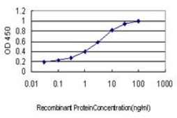 Monoclonal Anti-PLAG1 antibody produced in mouse clone 3B7, purified immunoglobulin, buffered aqueous solution