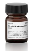 Nitro Blue Tetrazolium tablet