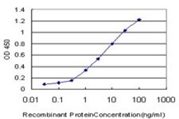 Monoclonal Anti-LAMA5 antibody produced in mouse clone 2F7, purified immunoglobulin, buffered aqueous solution