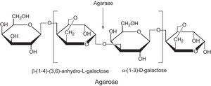 Agarase from Pseudomonas atlantica lyophilized powder, ≥5,000 units/mg protein (Lowry)