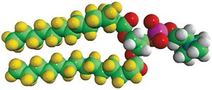 14：0 PC-d54 1,2-dimyristoyl-d54-sn-glycero-3-phosphocholine, powder
