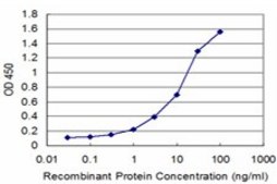 Monoclonal Anti-ATF4 antibody produced in mouse clone 2E3, purified immunoglobulin, buffered aqueous solution