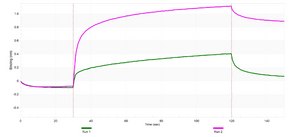 Anti-p-KAP-1 (Ser824) Antibody, clone 1K9 ZooMAb® Rabbit Monoclonal recombinant, expressed in HEK 293 cells