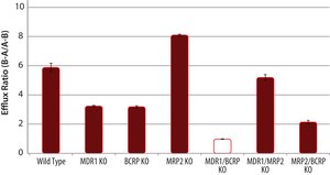 BCRP Knockout Caco-2 Cells one assay ready, 24 well plate