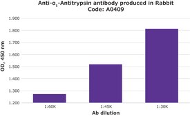 Anti-α1-Antitrypsin antibody produced in rabbit IgG fraction of antiserum