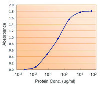 Anti-TTR antibody produced in goat affinity isolated antibody, buffered aqueous solution