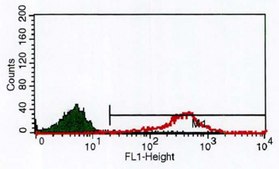 Anti-CD4 antibody, Mouse monoclonal clone Q4120, purified from hybridoma cell culture