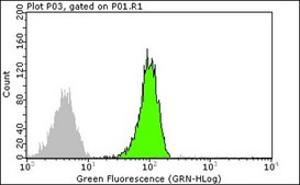 抗-Ras抗体，克隆RAS10 clone RAS10, Upstate®, from mouse