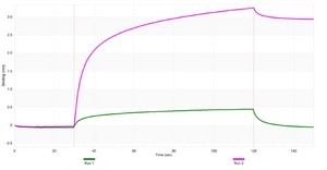 Anti-NRF1 Antibody, clone 1J3 ZooMAb® Rabbit Monoclonal recombinant, expressed in HEK 293 cells