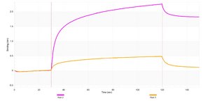 Anti-Maf-B Antibody, clone 2N17 ZooMAb® Rabbit Monoclonal recombinant, expressed in HEK 293 cells