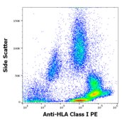 Monoclonal Anti-HLA Class I-PE antibody produced in mouse clone MEM-123, purified immunoglobulin, buffered aqueous solution