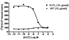 ChemiSCREEN Membrane Preparation Recombinant Human 5-HT7 Serotonin Receptor Human 5-HT7 GPCR membrane preparation for Radioligand binding Assays &amp; GTPγS binding.