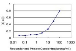 Monoclonal Anti-TIMP1 antibody produced in mouse clone 4D12, purified immunoglobulin, buffered aqueous solution
