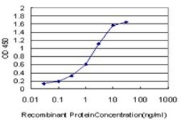 Monoclonal Anti-BNIP3L antibody produced in mouse clone 3G2, purified immunoglobulin, buffered aqueous solution