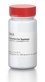 Transferrin human Optiferrin™, recombinant, expressed in rice