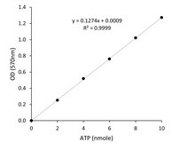 ATP Assay Kit sufficient for 100 colorimetric or fluorometric tests