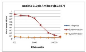 Anti-phospho Histone H3 (Ser10), clone 6G8B7 Antibody clone 6G8B7, 1 mg/mL, from rat