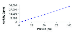 KAT2A (GCN5)，活性，GST 标记 人 recombinant, expressed in baculovirus infected Sf9 cells, ≥70% (SDS-PAGE), buffered aqueous glycerol solution