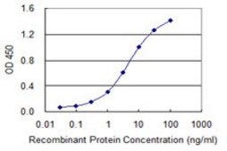 Monoclonal Anti-CACNG7, (C-terminal) antibody produced in mouse clone 1F7, purified immunoglobulin, buffered aqueous solution