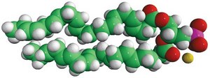 22:6 PA 1,2-didocosahexaenoyl-sn-glycero-3-phosphate (sodium salt), chloroform