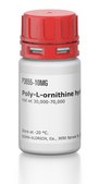 Poly-L-ornithine hydrobromide mol wt 30,000-70,000