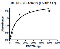 PDE7B active rat recombinant, expressed in baculovirus infected Sf9 cells, ≥30% (SDS-PAGE)