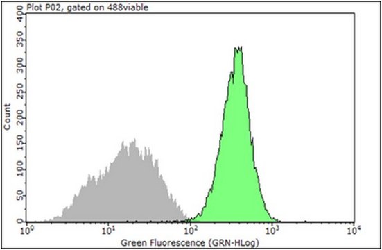Anti-Integrin β1 Antibody, clone 12G10 clone 12G10, from mouse
