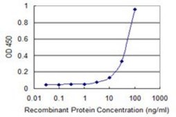 Monoclonal Anti-ZSCAN1 antibody produced in mouse clone 7C1, purified immunoglobulin, buffered aqueous solution