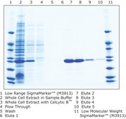 HIS-Select® Nickel Affinity Gel (1:1 suspension in a 20% ethanol solution)