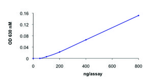 CDC25A, active, GST tagged human recombinant, expressed in baculovirus infected Sf9 cells, ≥70% (SDS-PAGE), buffered aqueous glycerol solution