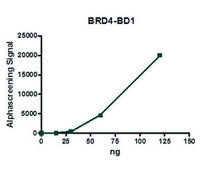 BRD4 (49-170) His tag human recombinant, expressed in E. coli, ≥90% (SDS-PAGE)