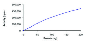 YES1, active, GST tagged human PRECISIO® Kinase, recombinant, expressed in baculovirus infected Sf9 cells, ≥70% (SDS-PAGE), buffered aqueous glycerol solution