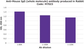 Anti-Mouse IgG (whole molecule) antibody produced in rabbit IgG fraction of antiserum, buffered aqueous solution
