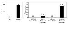 ChIPAb+ Dimethyl-Histone H3 (Lys9) - ChIP Validated Antibody and Primer Set clone CMA307, from mouse