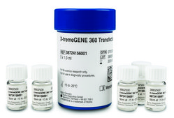 X-tremeGENE™ 360 Transfection Reagent Universal polymer reagent for delivering DNA, siRNA, miRNA and CRISPR/RNP to many cell lines