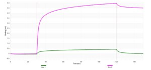 Anti-IL-12B Antibody, clone 1N3 ZooMAb® Rabbit Monoclonal recombinant, expressed in HEK 293 cells